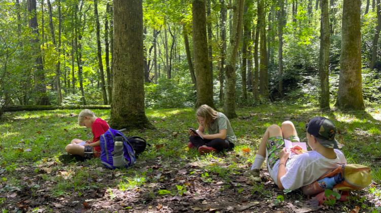 Curriculum Corner: 'The Art of Playing in the Woods'