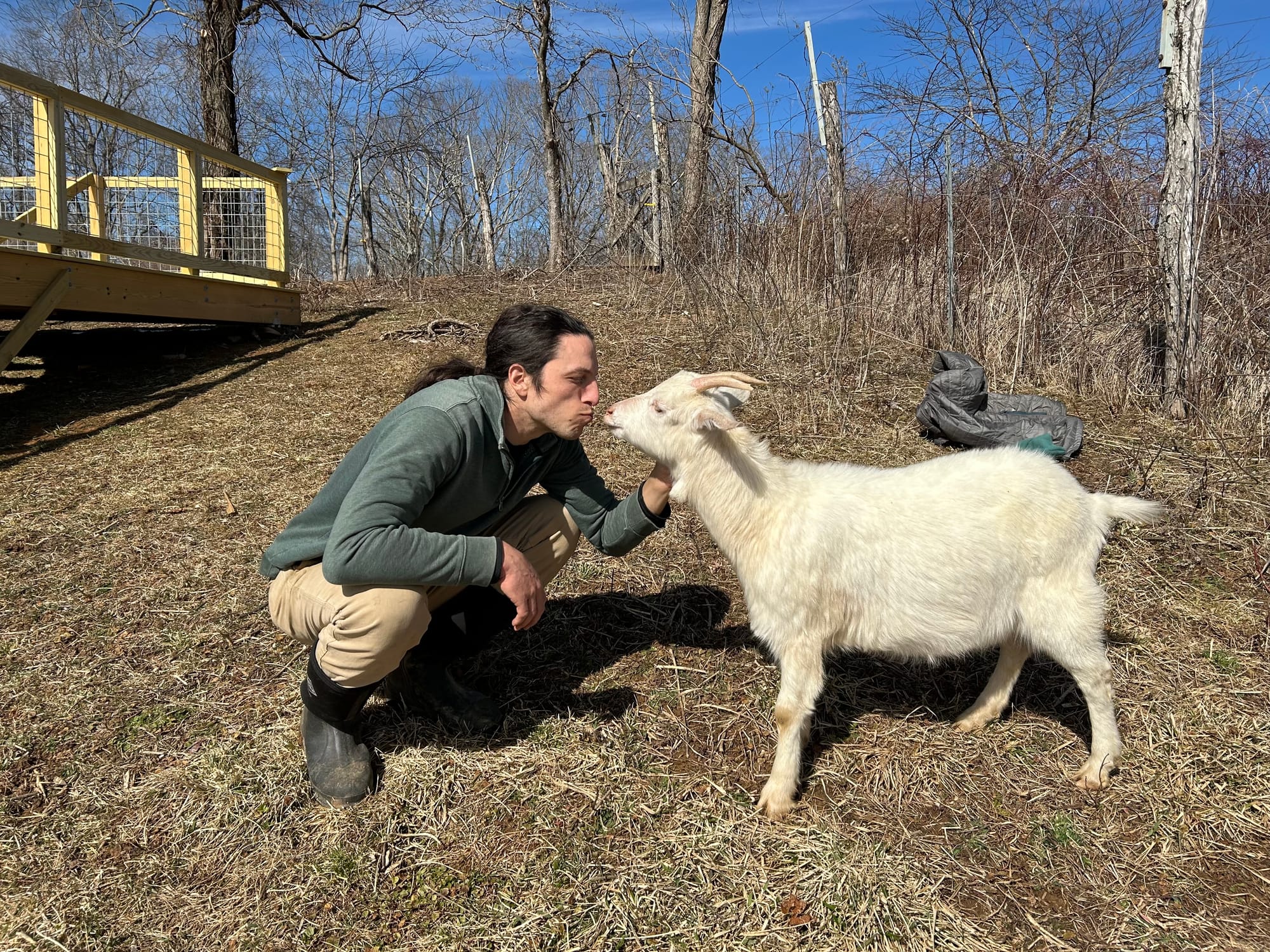 ‘The Adventures of Little Britches’: Floyd farmer featured in new children’s book
