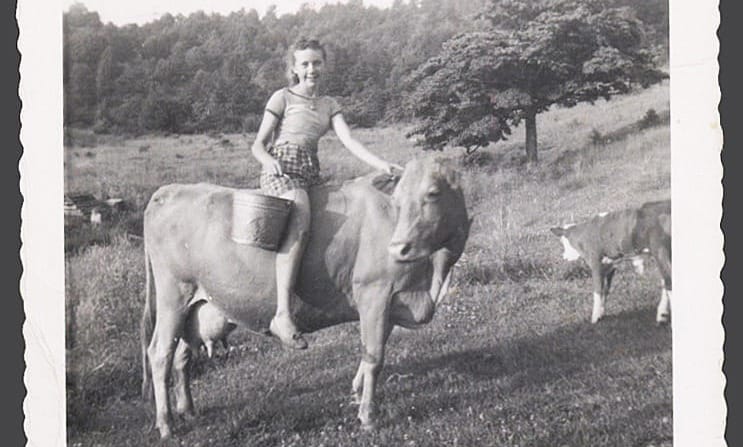 Backstories and Backyards: Buttermilk, Biscuits, and Butter