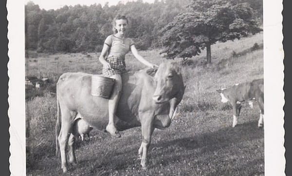 Backstories and Backyards: Buttermilk, Biscuits, and Butter