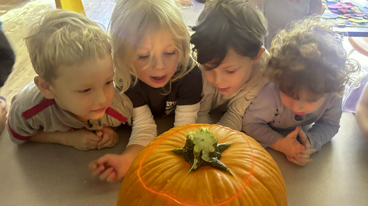 Curriculum Corner: ‘A week in the life of an Amethyst’