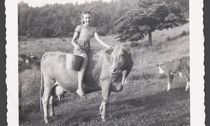 Backstories and Backyards: Buttermilk, Biscuits, and Butter